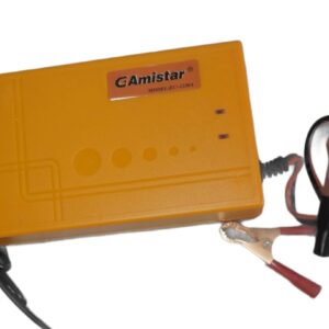 GAmistar Intelligent Pulse Charger (12V 30A)